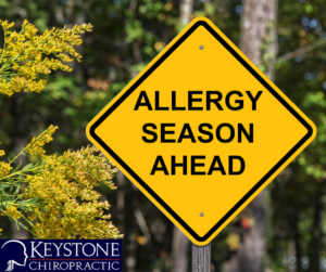 Allergy Season
